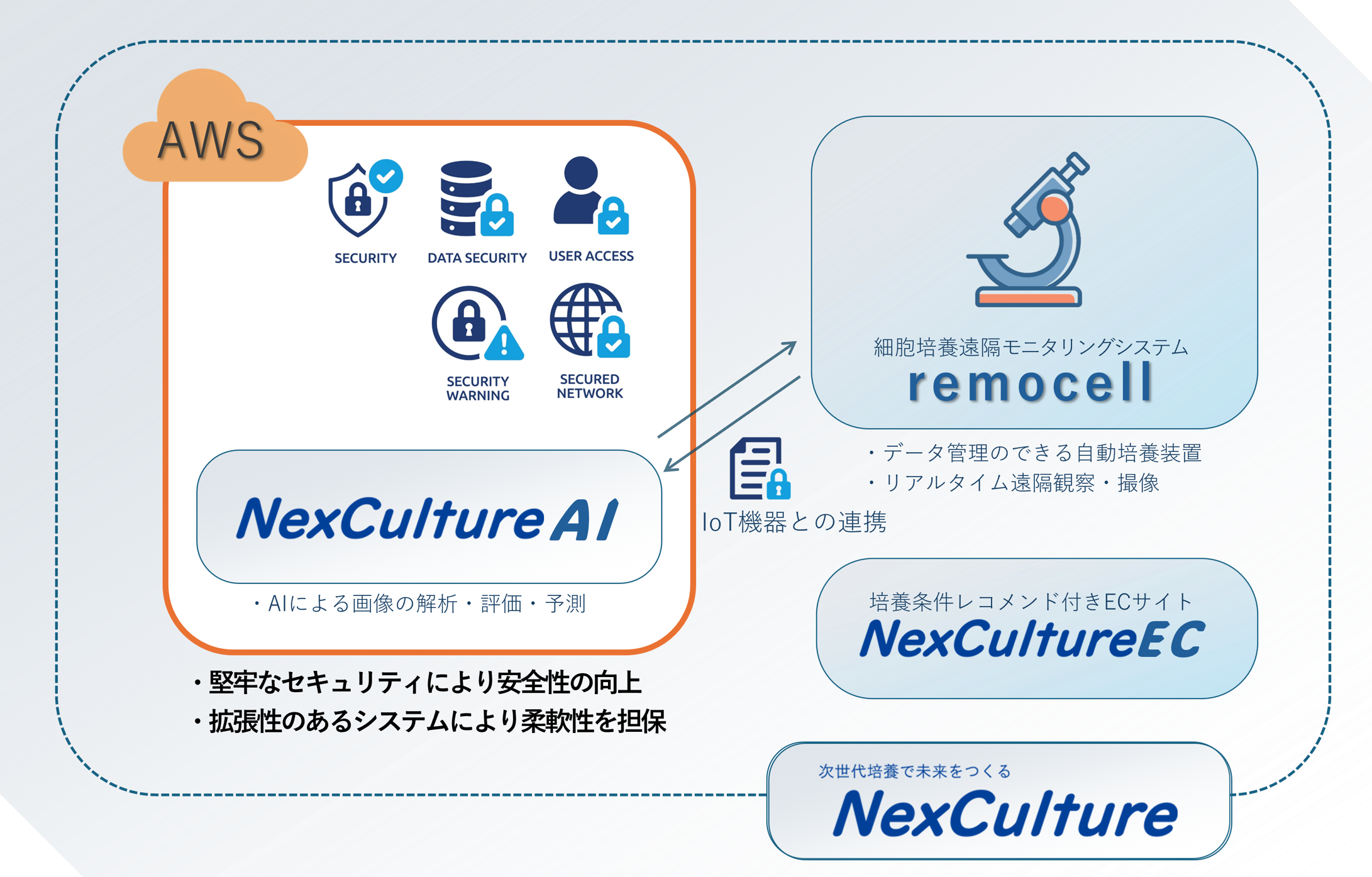 「NexCulture」とAWSによるクラウド化のイメージ